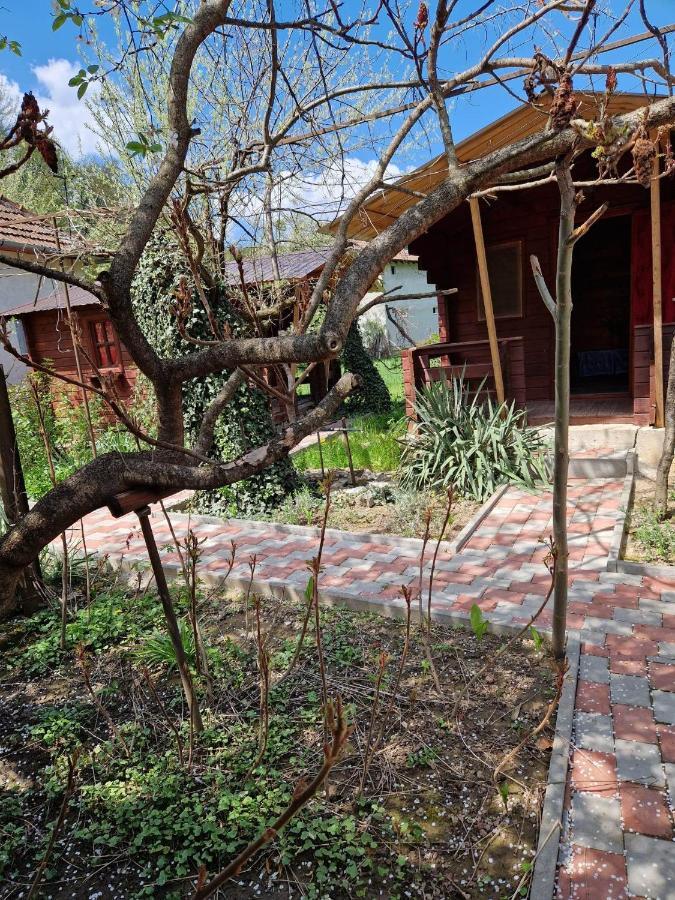 Готель Casa Jan B. Lorau Екстер'єр фото